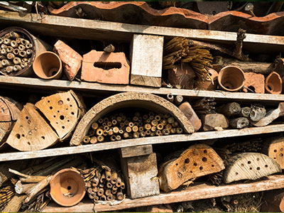 Insect Hotels