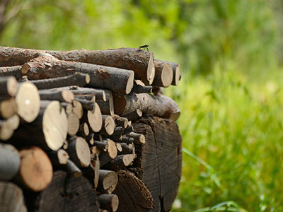 Hibernacula/Ecological Log Pile
